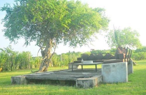 Kirinda Cabin | Panthera Lodge