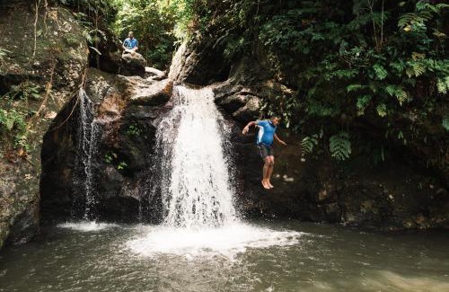 Kadavu Island Resort | PAPAGENO RESORT & DIVE