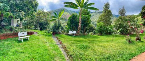 Roldanillo Bed & Breakfast | Paraíso Serendipia