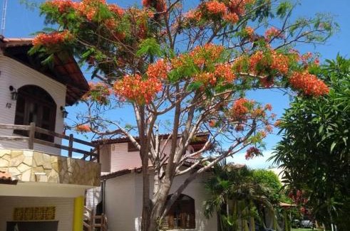 Paracuru House | Paracuru Kite Village