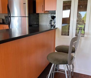 Baie-St-Paul Ski Chalet | Paradis de Charlevoix - Loft