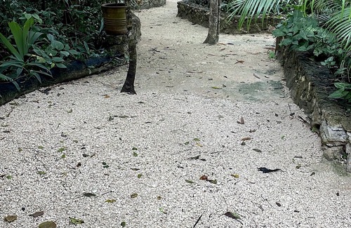 Tulum Cottage | PARADISE BOHEME. Tulum Private gem. Serene & Peaceful, gated, jungle sanctuary