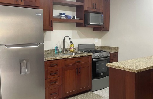 Placencia Apartment | Paradise Inn Placencia - Turtle Suite on the beach