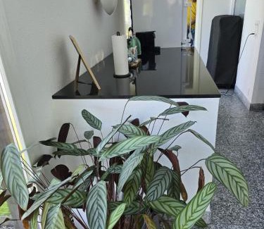 Spiez House | Paradise on the lake