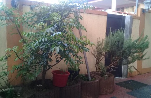 Vacoas-Phoenix House | Paradise Resting Home