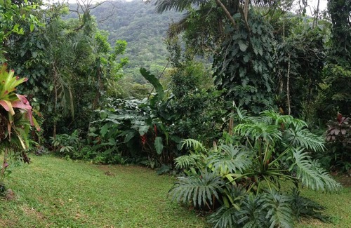 Ubatuba House | Paradise Secluded Beach