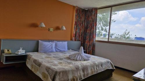 Irapuato Hotel | Parador del Río by Flamingo Hotels Group