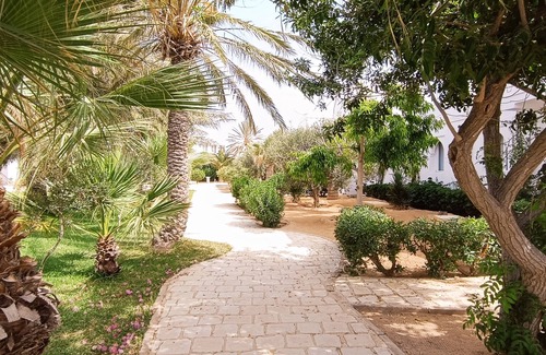 Arkou Apartment | Parc Djerba Explore Residence