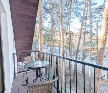 Moinesti Hotel | PARC PINI RESORT