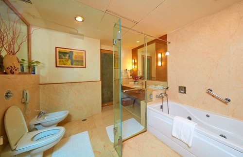 Thoraipakkam Hotel | Park Plaza Chennai OMR