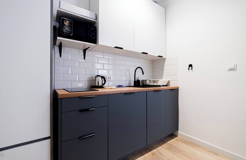 Grunwald Apartment | Park Wilsona Urban Stay 2B Apartment
