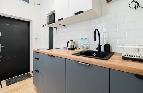 Grunwald Apartment | Park Wilsona Urban Stay 2A Apartment