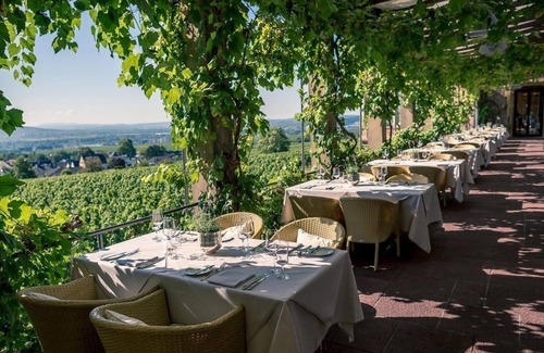 Johannisberg House | Parkresidenz Junior Suite - Nicht Erstattbar - Relais & Châteaux Hotel Burg Schwarzenstein