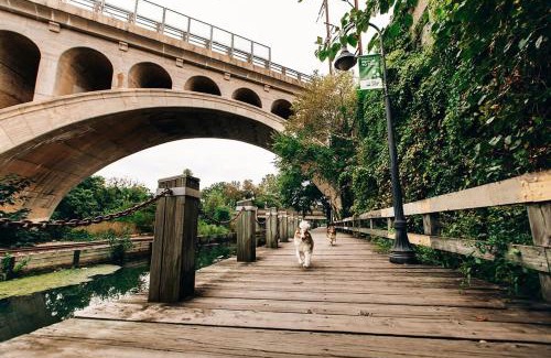 Roxborough-Manayunk Apartment | Parkside Haven - Charming 1BR Corner Property