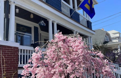 Mount Pleasant Apartment | ParkView Apt. has 3 bedrooms, sleeps 13, with a great porch view. RE.00261-STR