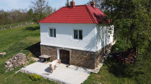 Mladenovac House | Parlog