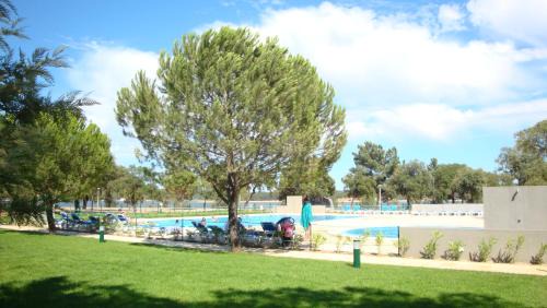 Ponte de Sor Resort | Parque de Campismo Orbitur Montargil
