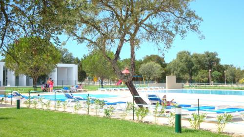 Ponte de Sor Resort | Parque de Campismo Orbitur Montargil