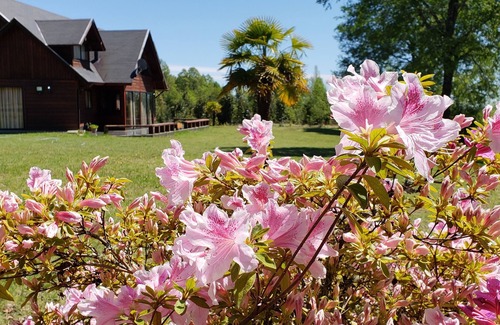 Villarrica House | Parque Los Arrayanes & Salon de Eventos