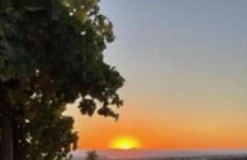 San Miguel House | Paso Robles Wine Country - 2 Pickleball Courts, Main House only, Vineyard Views
