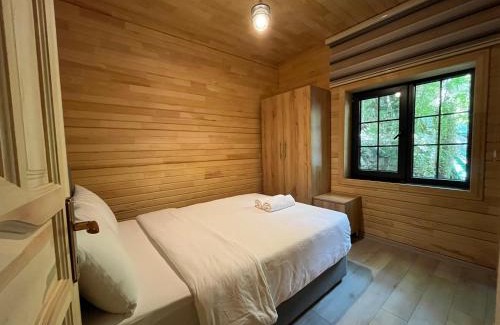 Uzungol Apartment | Paye Suite