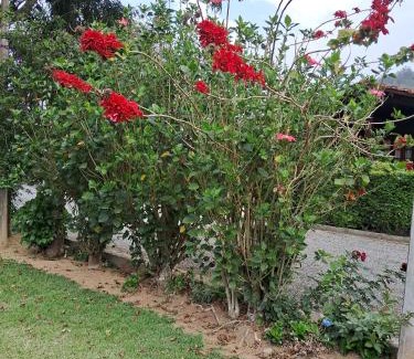 Teresopolis House | Paz e Conforto na Serra