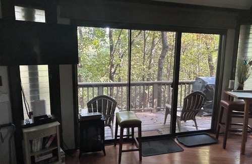 Big Canoe Cabin | "PEACE IN A POD" CHARMING 2-Bdrm cabin right in the middle of Big Canoe!