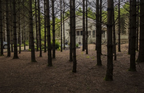 Baileys Harbor House | ' Peace in the Pines '