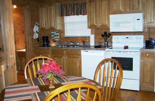 Celina Cabin | Peace & quiet just 5 minutes from Holly Creek Marina on Dale Hollow Lake!