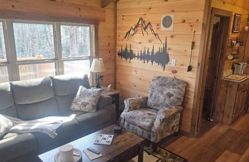Franklin Cabin | Peaceful 2-bedroom Tiny Home Log Cabin in outskirts of Franklin. Pet Friendly!