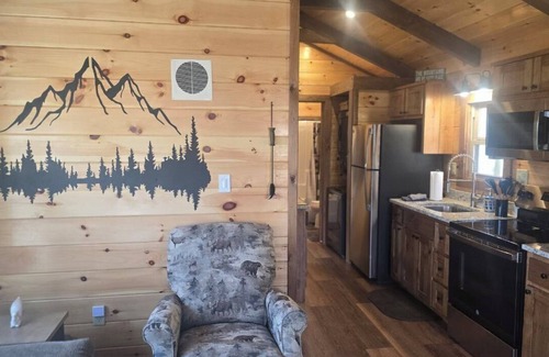 Franklin Cabin | Peaceful 2-bedroom Tiny Home Log Cabin in outskirts of Franklin. Pet Friendly!