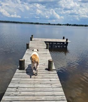 Sebring House | Peaceful 3 bedroom Lake Front Home on 1 acre