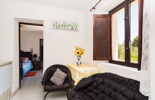 Santiago do Cacem Other | Peaceful animal farm with stunning starlit sky