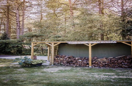 Wechelderzande Ski Chalet | Peaceful Woodland Chalet