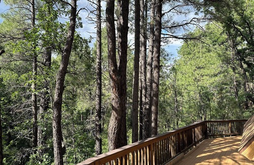 Munds Park Cabin | Peaceful Cabin on Munds Canyon with Open Forest from the Decks