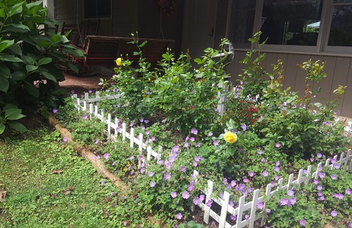 Waynesville House | Peaceful, cozy, creekside and squeaky clean!