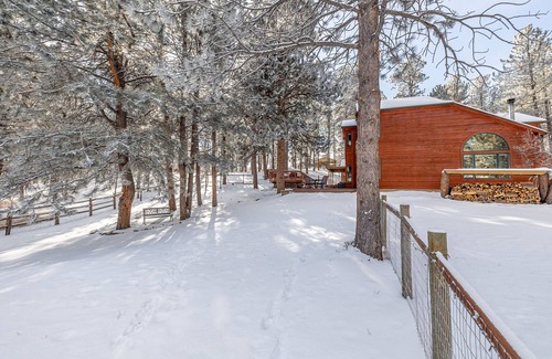Bailey Cabin | Peaceful getaway in the woods with fully fenced yard- Pet friendly!