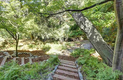 Thousand Oaks House | Peaceful North Berkeley in-law overlooking creek