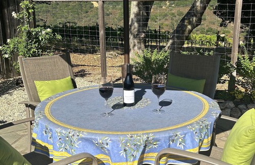 Fetters Hot Springs-Agua Caliente Apartment | Peaceful & Private Vineyard View Studio near Wineries, Restaurants, Hiking