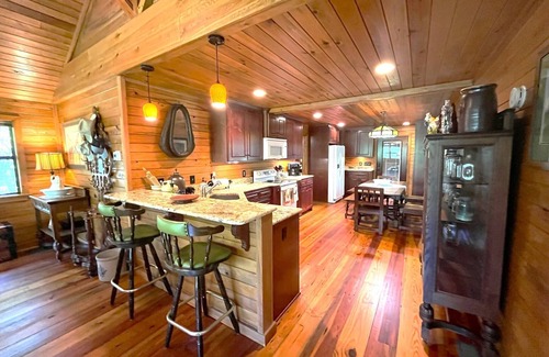 Nahunta House | Peaceful River RetreatnDirect access to the beautiful Satilla River