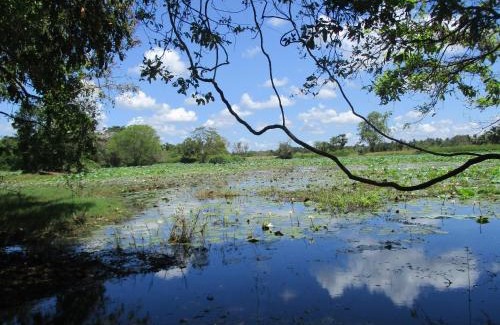 Habarana Bed & Breakfast | Peacock Lake Villa