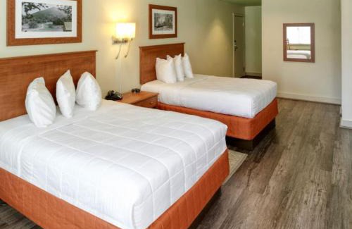 Peaks Hotel | Peaks of Otter Lodge