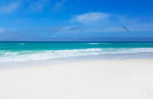 Inlet Beach Heights House | Pearl Flamingo