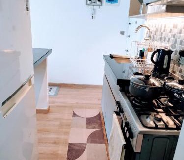 Kiambu Apartment | Pearl Nest 1 bedroom Tatu city