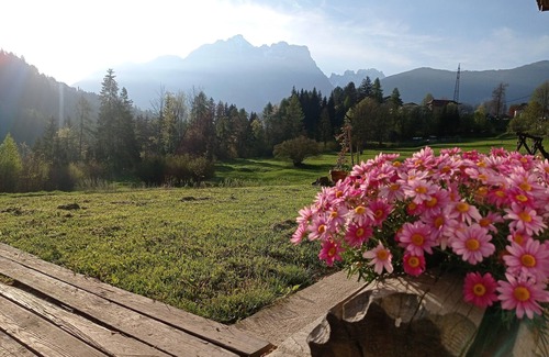 Calalzo di Cadore House | Pedibosco bed immersed in the forest of the Belluno Dolomites