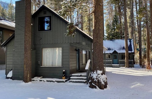 Donner Lake Woods Cabin | Peek of Donner Lake | Walk to West End Pub!