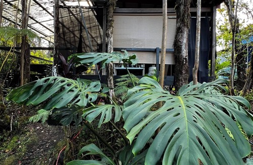 Eden Roc House | Pele's Breath Jungalow Near Kilauea Volcano