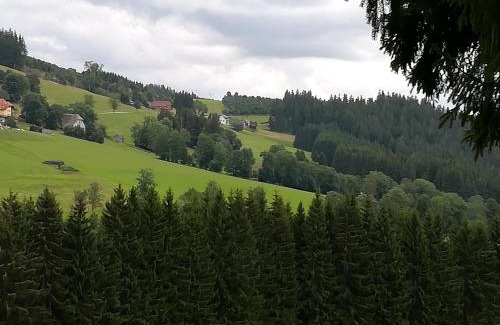 Schwarzenbach House | Pension Forsthaus Täle - das Gästehaus vom Schwarzwaldgasthaus Salenhof