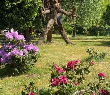 Markische Heide House | Pension Haus zum See