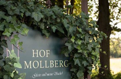 Mollberg Cottage | Pension "Hof Mollberg" - double room, shower, WC